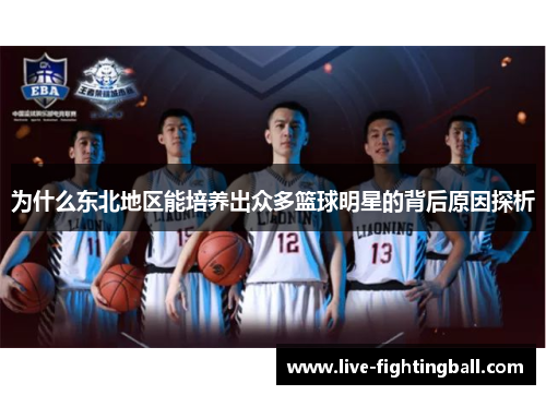 为什么东北地区能培养出众多篮球明星的背后原因探析