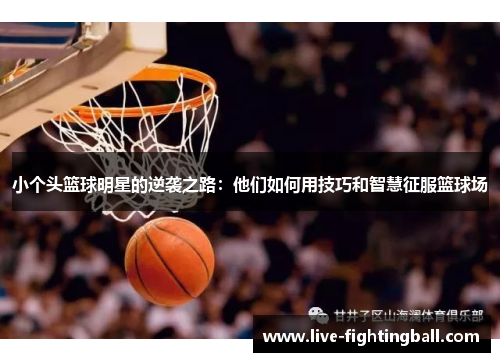 小个头篮球明星的逆袭之路：他们如何用技巧和智慧征服篮球场