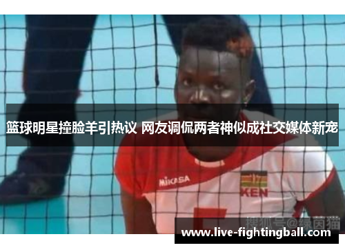 篮球明星撞脸羊引热议 网友调侃两者神似成社交媒体新宠