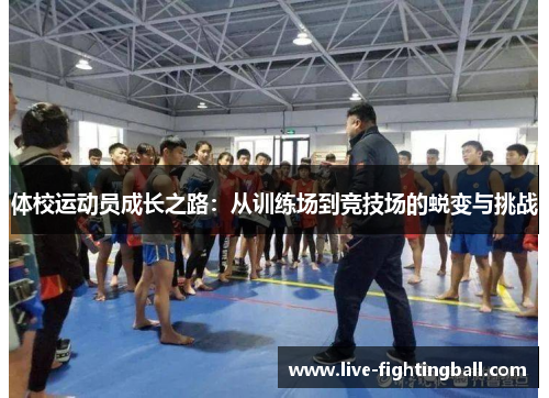 体校运动员成长之路：从训练场到竞技场的蜕变与挑战