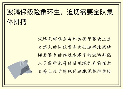 波鸿保级险象环生，迫切需要全队集体拼搏