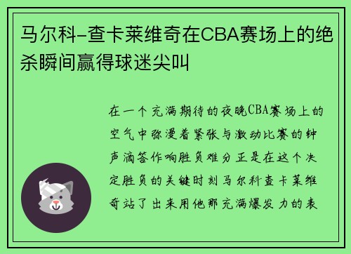 马尔科-查卡莱维奇在CBA赛场上的绝杀瞬间赢得球迷尖叫